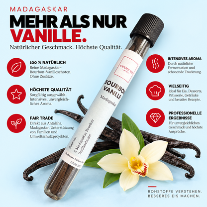 Vanille Stangen Madagaskar